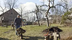 La vie sauvage du jardin : Une journée d'hiver