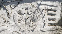 La vie sauvage du jardin : Une journée d'hiver