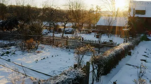 La vie sauvage du jardin : Une journée d'hiver