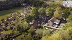 La vie sauvage du jardin : Une journée de printemps