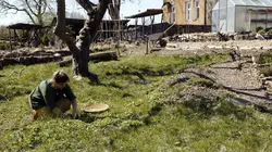 La vie sauvage du jardin : Une journée de printemps