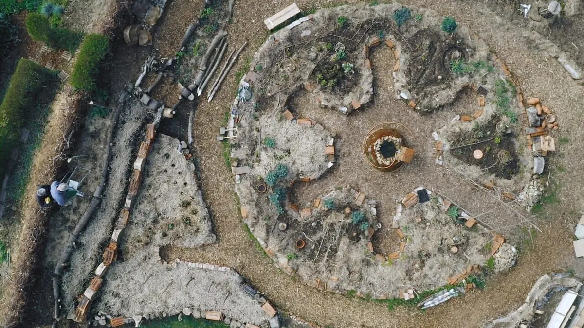 La vie sauvage du jardin : Une journée de printemps