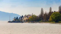 La vie secrète de l'ours à lunettes