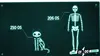 La vie secrète des chats