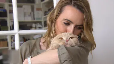 La vie secrète des chats Du chat des villes au chat des champs...