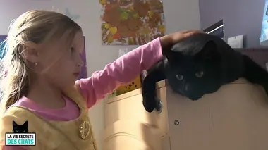 La vie secrète des chats Le chat : meilleur ami de l'homme ?