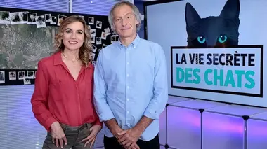 La vie secrète des chats Que sont-ils devenus ?