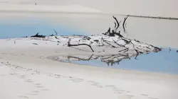 La vie secrète des lacs