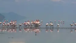 La vie secrète des lacs