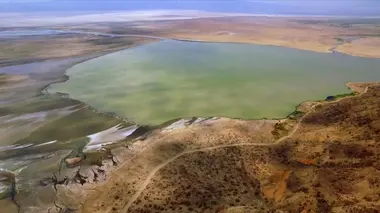 Le lac Natron, aux extrêmes de la vie