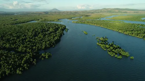 Épisodes de La vie secrète des mangroves