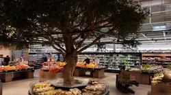 La vie secrète des supermarchés