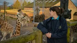 La vie secrète du zoo S03E02 Le grand saut
