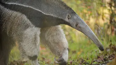 A la vie, à la mort