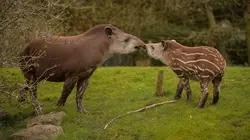 La vie secrète du zoo