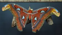 La vie secrète du zoo