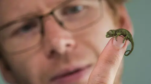 La vie secrète du zoo S04E15 Chacun chez soi