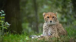 La vie secrète du zoo