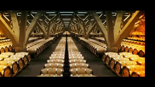 La Vigne en héritage Maison Pol Roger