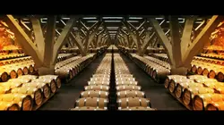 La Vigne en héritage Château Talbot