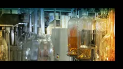 La Vigne en héritage Château Talbot