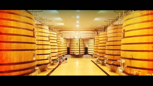 La Vigne en héritage