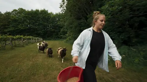 La vigne est belle Entre tradition et innovation
