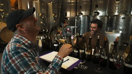 La vigne est belle Les alchimistes