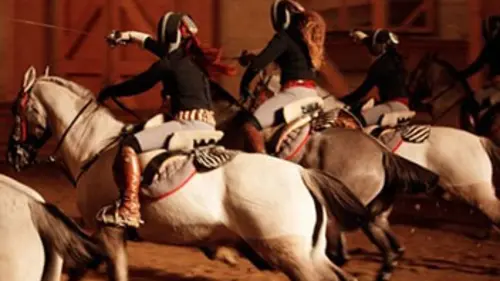 La voie de l'écuyer : Opus 2014