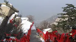 Visuel de La voie du tao