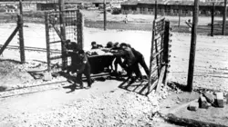 La vraie histoire d'Oskar Schindler