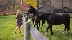 La vraie recette de l'amour