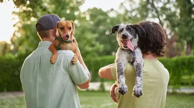 Mes animaux, c'est toute ma vie, vraiment ?
