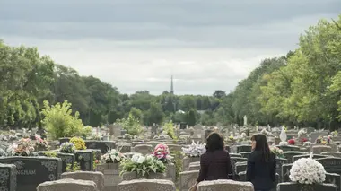 C'est comme hésiter entre quatre chandails beiges