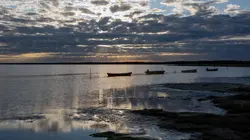 Visuel de Laeso, des toits nés de la mer