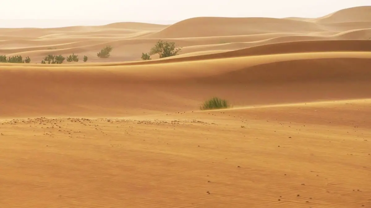 Lagos Tanger, aller simple