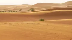 Lagos Tanger, aller simple