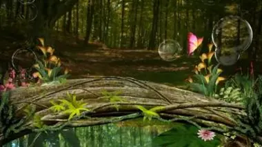 Maison bioclimatique