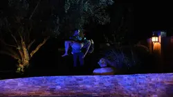 Laissée pour morte par mon mari