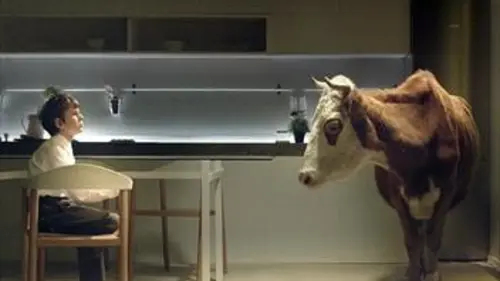 Lait de vache