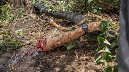 Casting Lake Placid : héritage