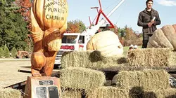 Visuel de Lancer de citrouilles : le championnat