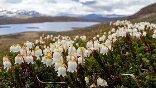 Laponie, la légende des premières montagnes