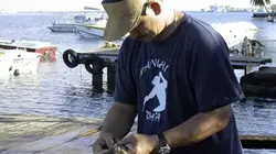 Visuel de Larguez les amarres