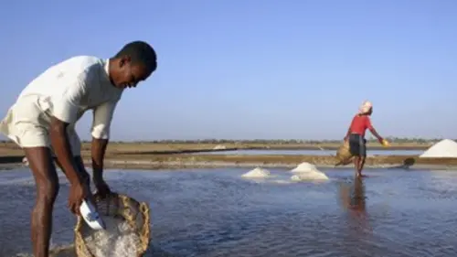 Larguez les amarres La route du sel
