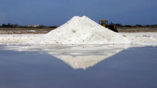Larguez les amarres La route du sel