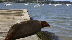 Visuel de Larguez les amarres