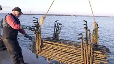 En îles de France : Charente-Maritime et île de La Réunion