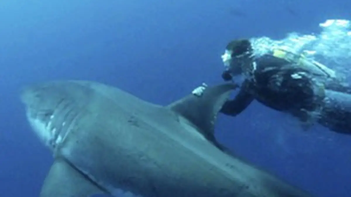 Larguez les amarres En mers turquoise