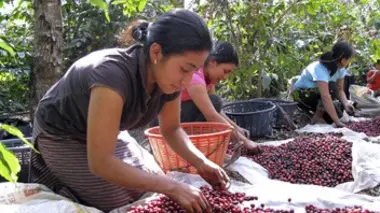 En Amérique centrale : Guatemala